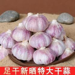 新干蒜4.5cm大蒜头干蒜山东大蒜批发价新干蒜皮 2斤 （净重1.8斤）