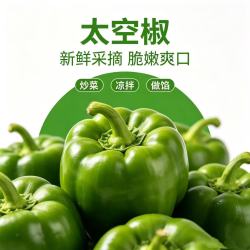 山西青圆椒太空椒清脆微甜不辣肉厚籽少凉拌沙拉 带箱2斤（净重1.8斤）