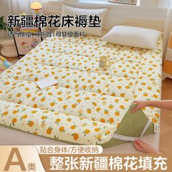 望来居A类新疆长绒棉床褥垫子学生宿舍垫家用榻榻米垫床上用品01