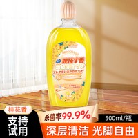 GLOBAL WAREHOUSE 地板清洁剂瓷砖清洗剂杀菌清香拖地专用不留水印强力去污抛光留香