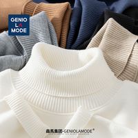 GENIOLAMODE 高领毛衣男秋冬季高级感百搭修身针织打底衫时尚百搭