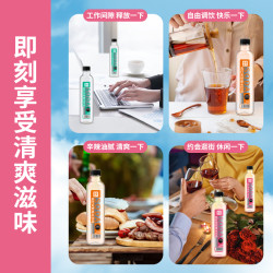 亲亲元气 苏打水弱碱性清爽口味天然风味饮料361ml*12
