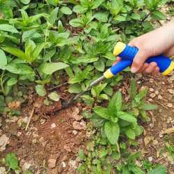 香芮 多功能铲子