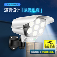 精选太阳能照明灯路灯庭院灯人体感应户外防水泛光防贼灯仿真监控