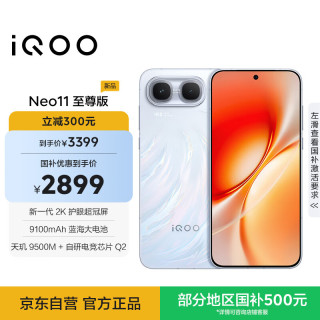 vivo iQOO Neo11 至尊版 12GB+256GB乘风 2K护眼超冠屏 9100mAh蓝海大电池天玑9500M电竞游戏学生手机