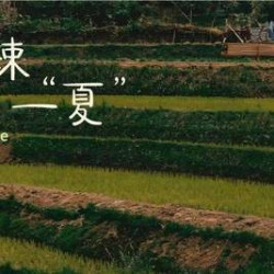 欢聚4人餐