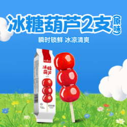 薛记炒货 冰糖葫芦（原味）2袋