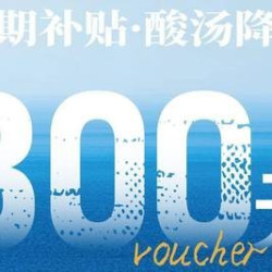 300元代金券|限2张