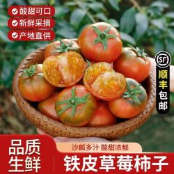 盘锦碱地柿子新鲜东北水果番茄绿腚丹东铁皮柿子草莓柿子西红柿