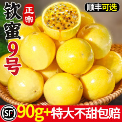 一统果家 广西钦蜜9号黄金百香果新鲜水果当季整箱包邮百香果大果原浆九号
