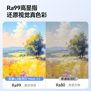 Yeelight 易来 全光谱护眼 智能灵犀4.0 Mesh2.0 LED吸顶灯