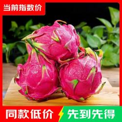 广西 超甜红心火龙果金都一号应季红肉超甜皮薄蜜宝新鲜孕妇水果 带箱5斤装   净重4.5斤起    单果200g+
