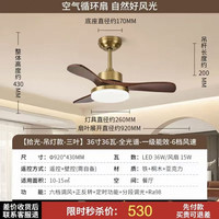 雷士 简约现代 风扇吊灯  无极调光 1个