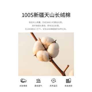 洁帛 100支双股新疆长绒棉 A类法式印花 2.0米床 四件套