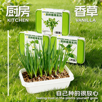 小花农 儿童蔬菜花果植物生长观察实验套装玩具