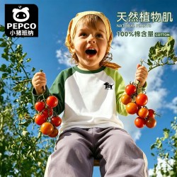 小猪班纳 男童t恤长袖春秋款纯棉上衣小男孩全棉打底衫儿童插肩撞色a 鸳鸯青绿小帅