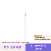 Apple Pencil Pro 磁吸触控笔苹果笔电容笔iPad笔 适用于iPad mini/Pro/Air