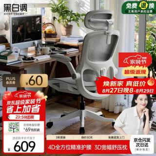 黑白调 P2 Pro 人体工学椅 霜白 标配款