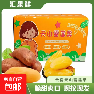 京喜自营-专用品牌 云南高山雪莲果 （大果）带箱5斤