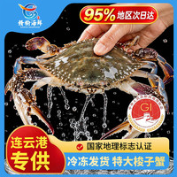 【冷冻】赣榆海鲜新鲜梭子蟹鲜活大螃蟹水产野生飞白蟹 4-6两/只 4-6两/只 5斤