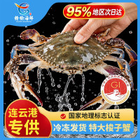 赣榆海鲜新鲜梭子蟹鲜活大螃蟹水产野生飞白蟹 4-6两/只 3-4两/只 2只装
