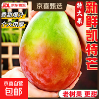 京喜加 凯特芒大芒果 单果400g+