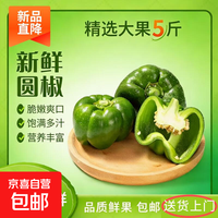 新鲜绿圆椒青椒太空椒灯笼椒柿子椒甜椒农家种植现摘蔬菜辣椒不辣 山东新鲜绿圆椒净重2300g