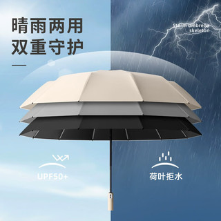 珺北 全自动黑胶雨伞 UPF50+防晒 梧桐米 12骨自动款