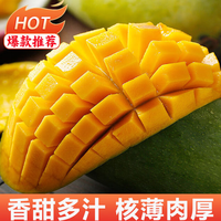 庾丰 海南应季新鲜芒果 青皮芒果 5斤装(净果4.5斤)单果299g-500g+