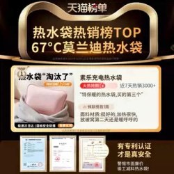 素乐 热水袋充电式女暖手宝敷肚子可爱毛绒防爆暖宫宝电热宝暖水袋