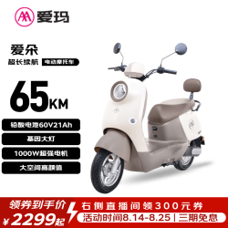 爱玛 电动摩托车 爱朵爱玛60V21AH电动车