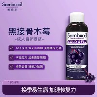 Sambucol 黑接骨木莓儿童维生素VC锌糖浆 120ml