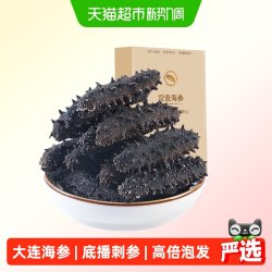 宫壹 大连 淡干海参 50g