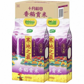 十月稻田 寒地之最香稻贡米5kg*2袋