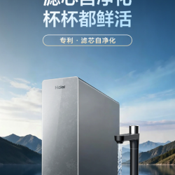 海尔 鲜矿水8年长效净水器家用直饮厨卫净饮机R857