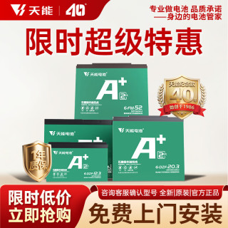 天能 电池A+系列两轮三轮电动车电摩款铅酸蓄电池 72V20Ah 全新购买