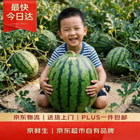 京鲜生 无籽麒麟西瓜 10-14斤