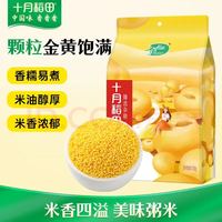 十月稻田 黄小米 1kg（2斤）