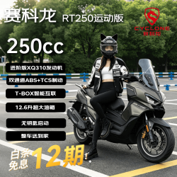 宗申 赛科龙RT250运动版燃油摩托车龙骨踏板智能摩旅通勤 绝影棕26款