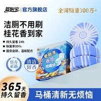 蓝怡宝 洁厕宝马桶蓝泡泡 强力清洁除垢剂除臭 去异味留香桂花厕所洁厕块