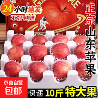 山东红富士苹果 新鲜水果 10斤装 净重9斤 80mm