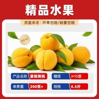 百亿补贴：慧琳果业 山东蒙阴黄桃大果水果净重4.5斤顺丰彩箱单果200克起