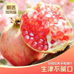 正宗四川会理软籽石榴应季新鲜突尼斯红心石榴 石榴带箱9斤（净重8.5斤+）