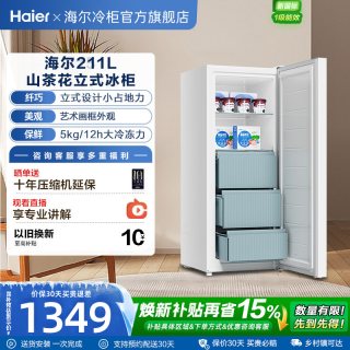 海尔 211L家用小型冷柜匀冷减霜一级节能冰柜冷冻抽屉冰箱