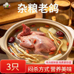 保卫蛋蛋 山东 闷杀老鸽子1.05kg/3只礼盒装新鲜白羽王 端午礼盒 源头直发