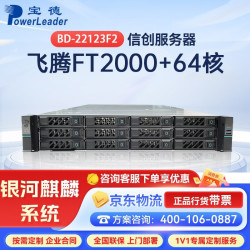 宝德 BD-22123F2飞腾FT-2000 /4*64G/480G 4T/LR382A/4口千兆/2