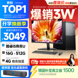SAMBADA 惠科HKC电脑主机 15% 商务办公电脑主机台式整机（酷睿i5-9500 16