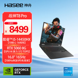 神舟 战神T8 Pro 16英寸游戏本笔记本电脑(i5-14450HX