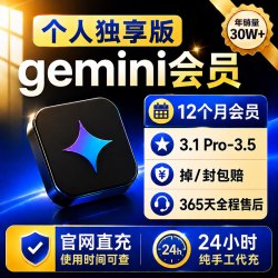 Gemini pro3.1 3.0会员代充官网直冲