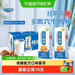 六个核桃 精品型植物蛋白核桃乳饮料 250ml*12罐